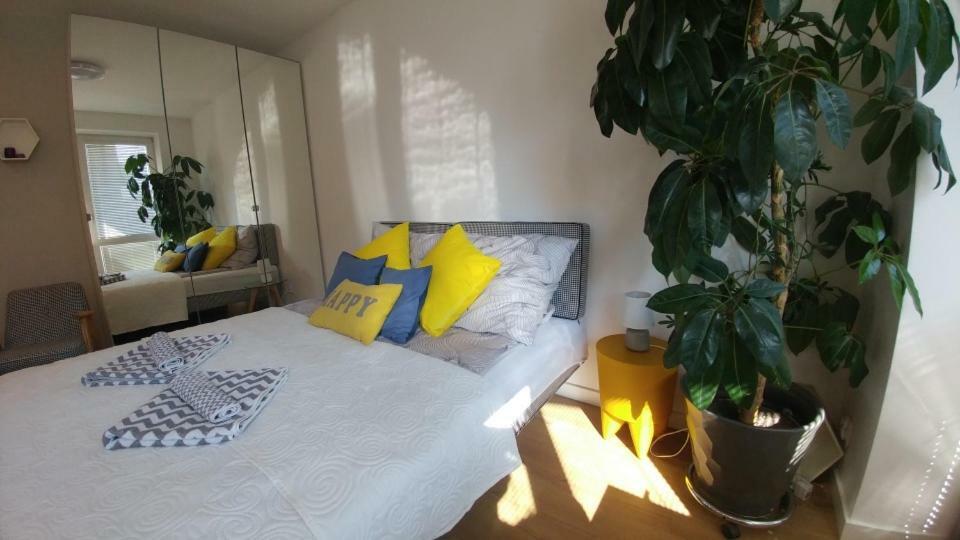 Apartament Centrum Augustów Kültér fotó
